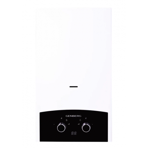 Проточный газовый водонагреватель Genberg 310.01 Премиум (серебристый/черный) 