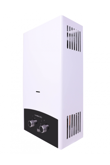 Проточный газовый водонагреватель Genberg 310.01 Премиум (серебристый/черный) 1