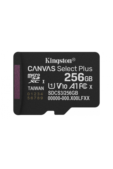 Карта памяти Kingston Canvas Select Plus V10 A1 SDCS3/256GBSP 256GB 