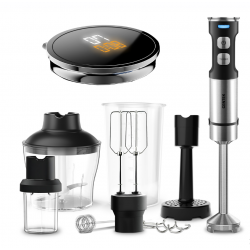 Погружной блендер CENTEK CT-1367 (серый металлик/черный)