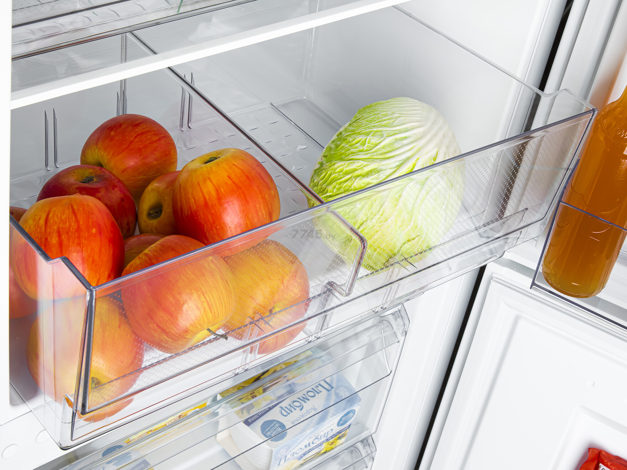 atlant13.jpg (1.41 MB)