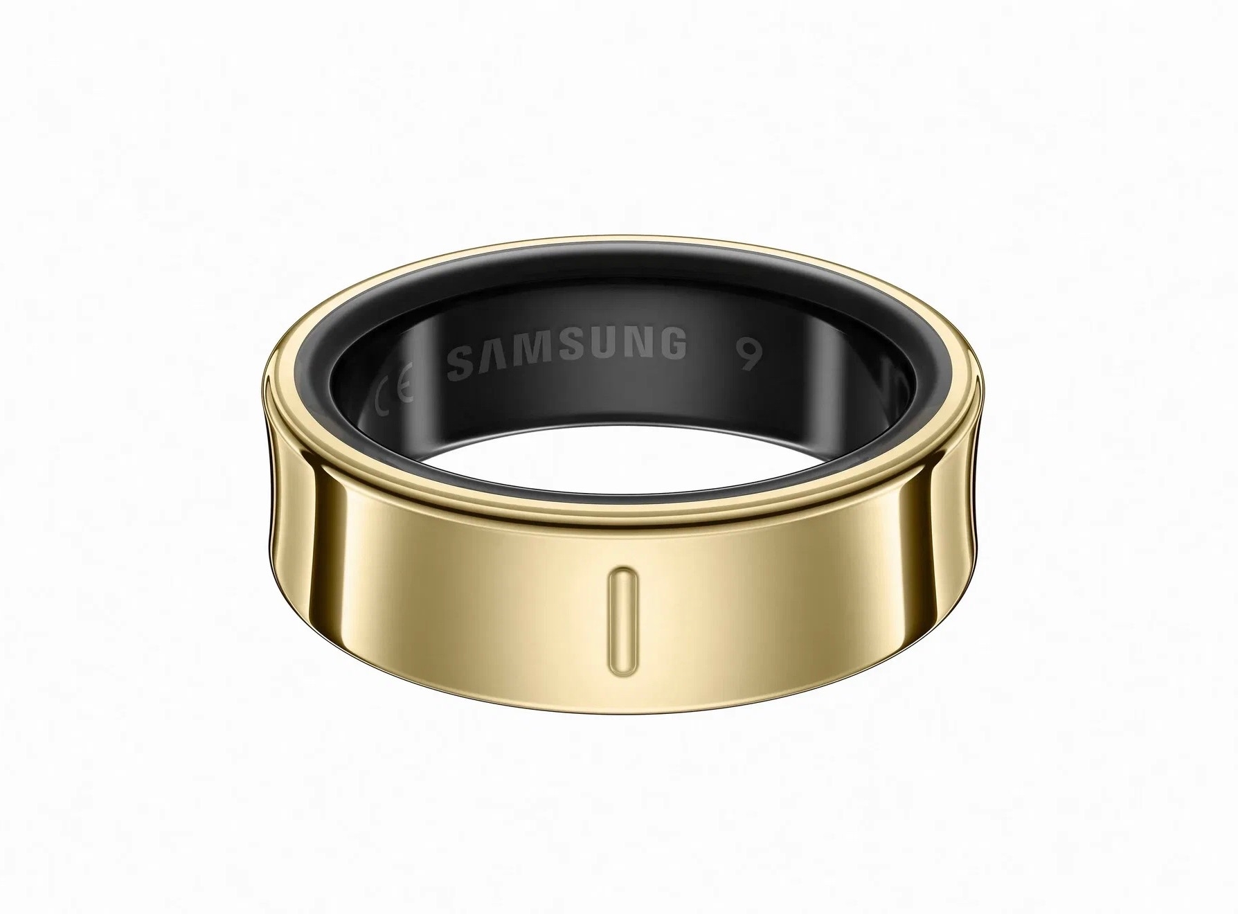 ring1.jpg (324 KB)